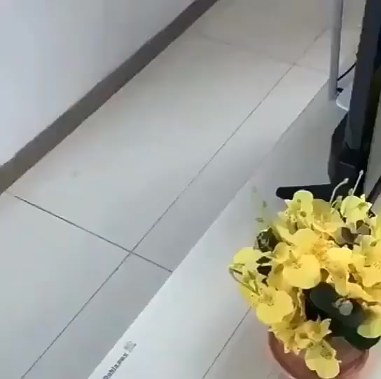 Aparelho Movedor Móveis Fácil Levantador Materiais Pesados Kit 5 Peças Sliders